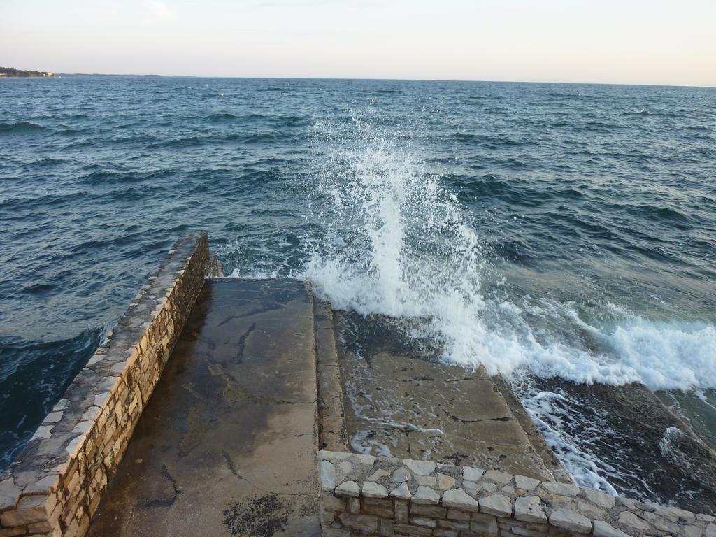 Studios Slavica Novigrad Istria 部屋 写真